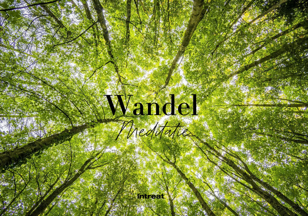 Wandel meditatie